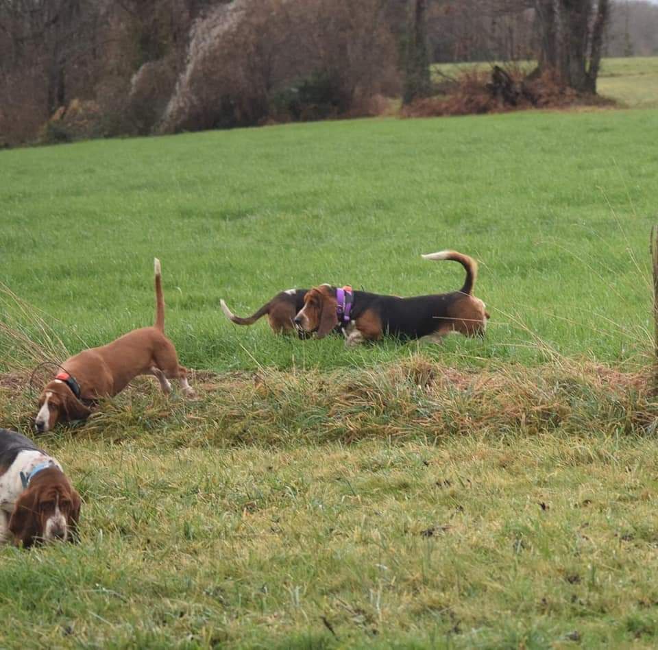 Nuts Titre Initial - 140 pts Très Bon