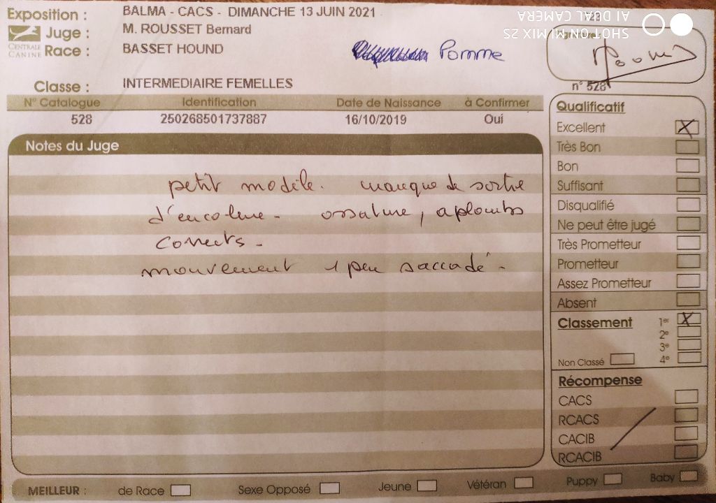 Pomme de reinette et pomme d'api Titre Initial - 1° EXCELLENT classe intermédiaire