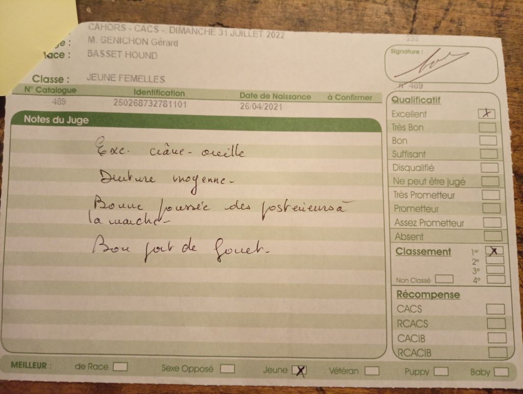 Sucrette des Cotes de la Saunade - 1° EXCELLENT / BOB jeune / classe jeune