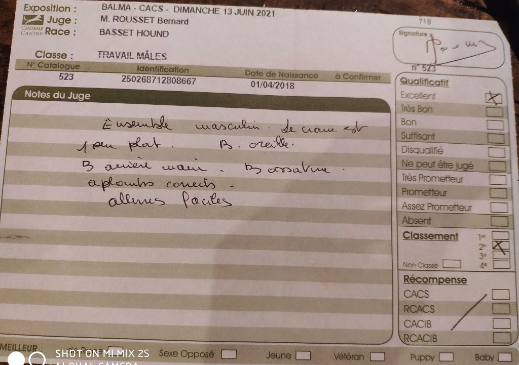 Nuts Titre Initial - 2° EXCELLENT classe travail