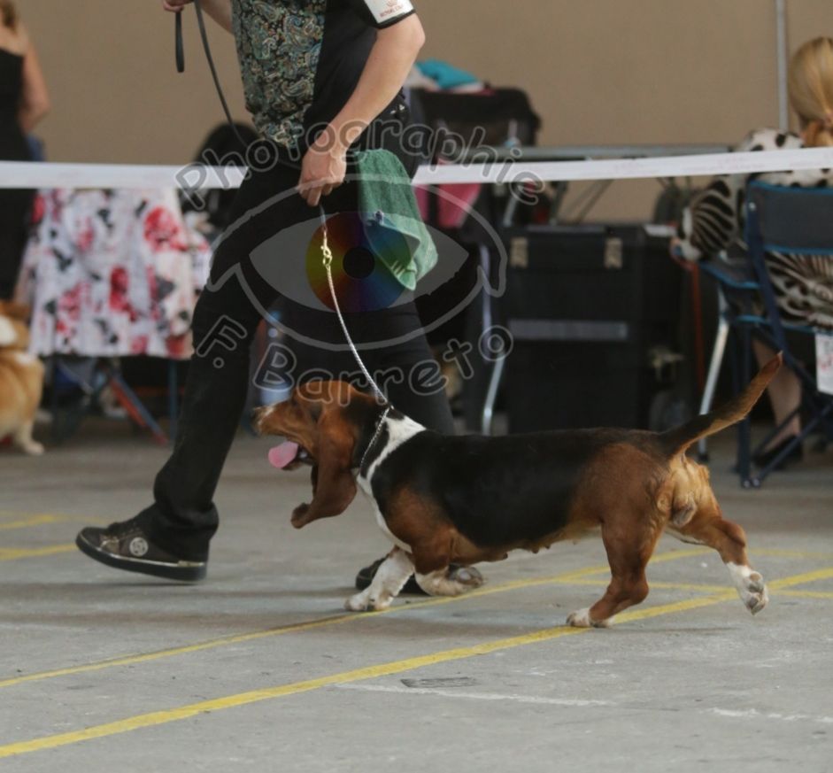 Sucrette des Cotes de la Saunade - 2° B / classe ouverte