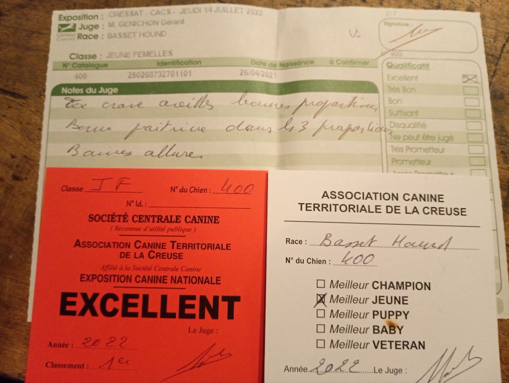 Sucrette des Cotes de la Saunade - 1° EXCELLENT / BOB jeune / classe jeune