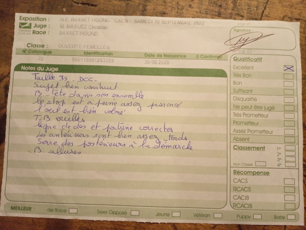 CH. Enaisa timpetoes - EXCELLENT classe ouverte