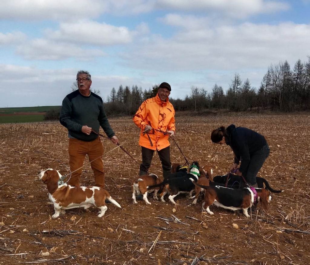 Nuts Titre Initial - 105 pts AB