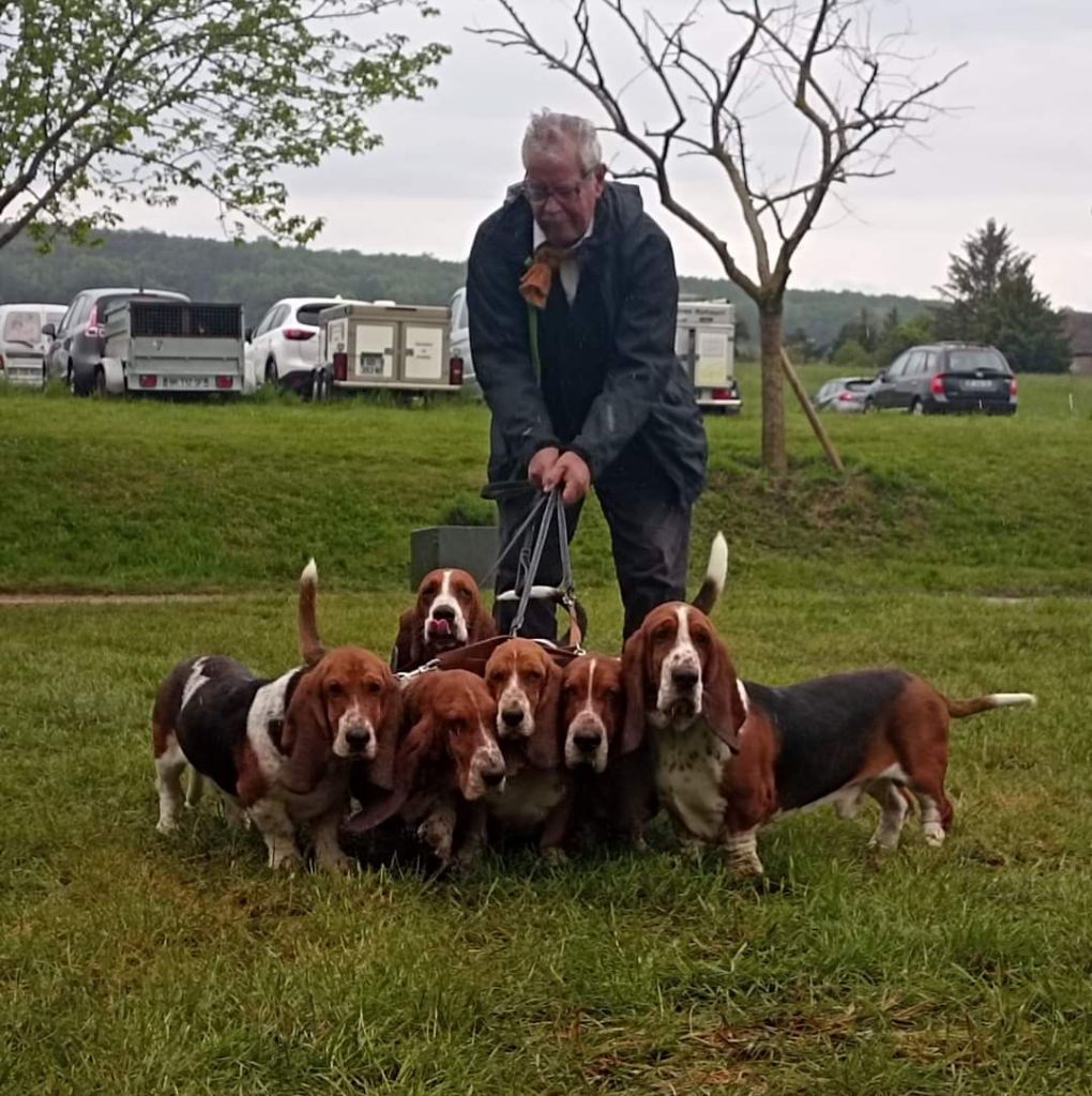 Smarties mini des Cotes de la Saunade - 2° EXCELLENT / classe intermédiaire