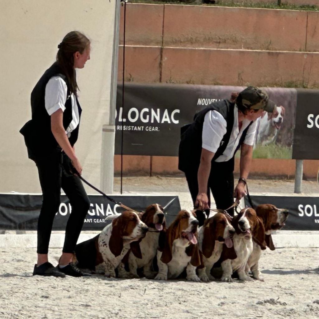 CH. Enaisa timpetoes - 1° EXCELLENT / CACS / classe travail