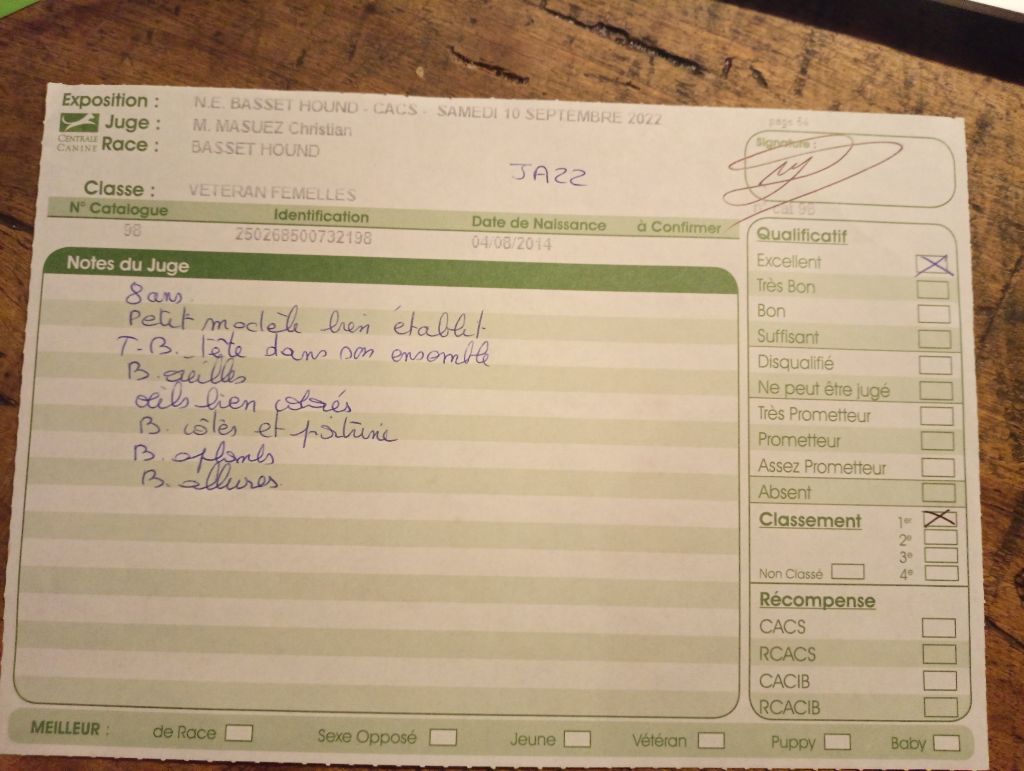 CH. Jazz Titre Initial - 1° EXCELLENT classe vétéran