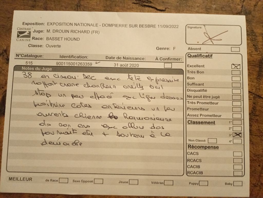 CH. Enaisa timpetoes - 3° EXCELLENT classe ouverte