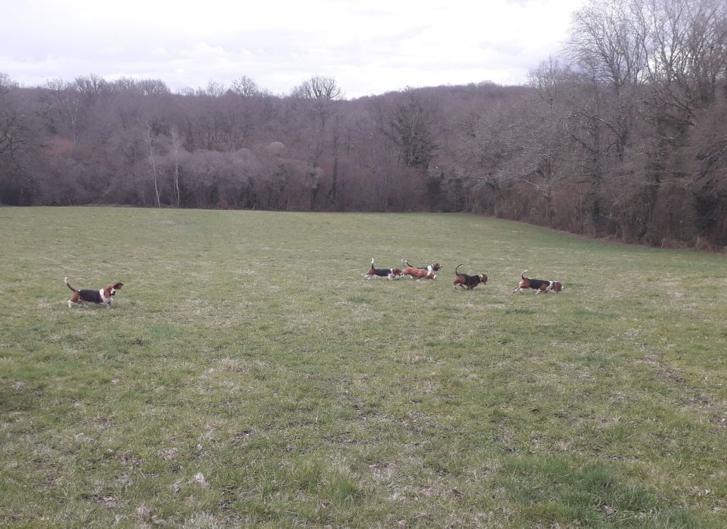 Nuts Titre Initial - 120 pts Bon