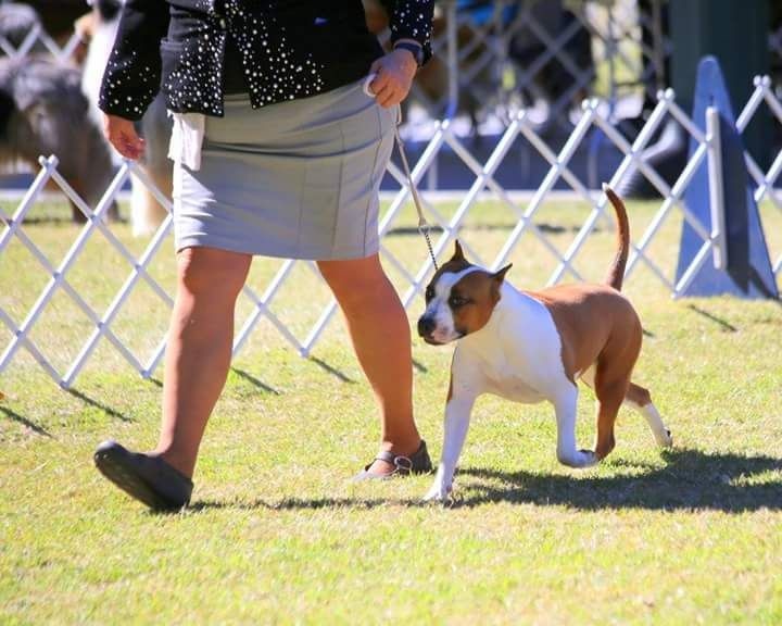 Thoresteel Mademoiselle paris for royal courts