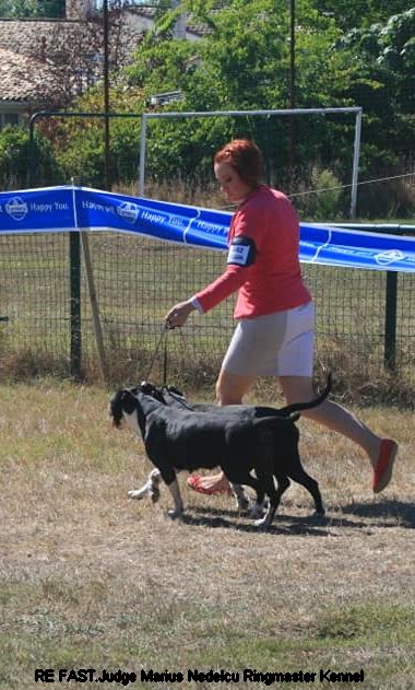 CH. Elektra von Den Taos Wächtern - Meilleure PAIRE de l'exposition