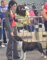 CH. Elektra von Den Taos Wächtern - Excellente non classé sur 24femelles