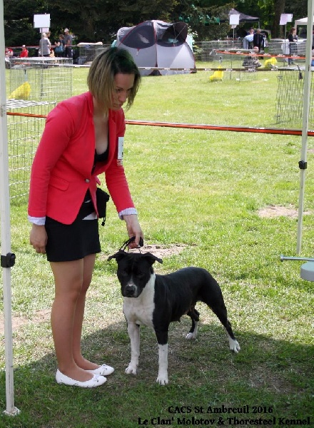 CH. Elektra von Den Taos Wächtern - 1ere Excellente RCAS