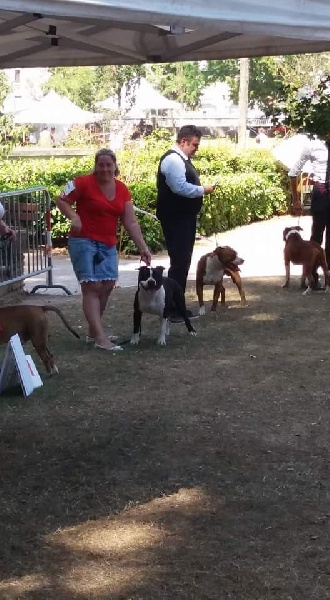 Thoresteel Lennox lewis - 2eme Excellent RCACS