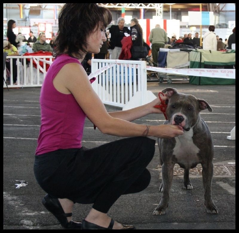 Easy my stella of kilissa (Sans Affixe) - Très Bon non classée