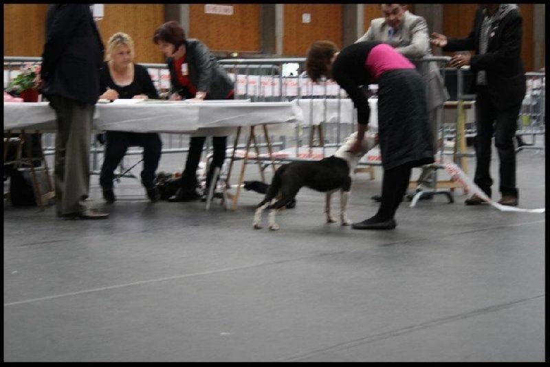 Damsteleasy Story G'zaya franstal's de zeus - 1ere Très Prometteuse