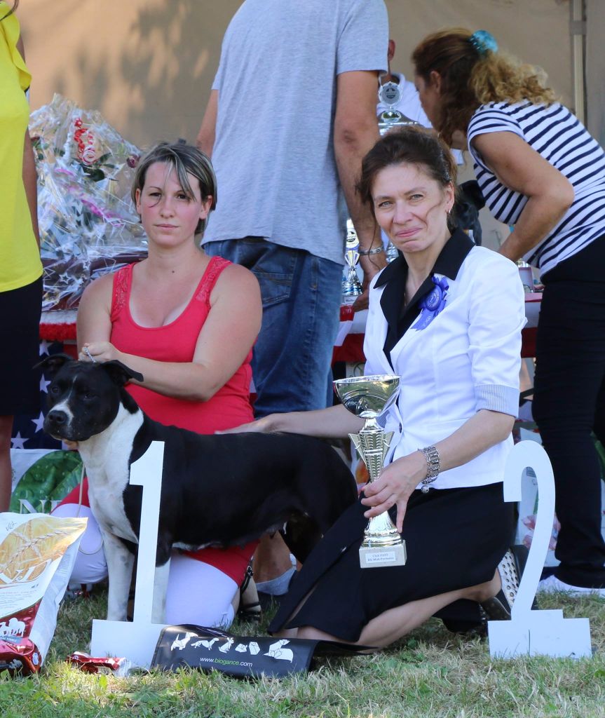 CH. Elektra von Den Taos Wächtern - 1ere Excellente