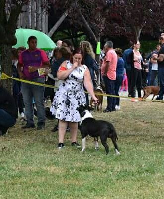 Thoresteel Lennox lewis - 2em Excellent RCACS