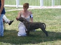 Easy my stella of kilissa (Sans Affixe) - Très prometteur