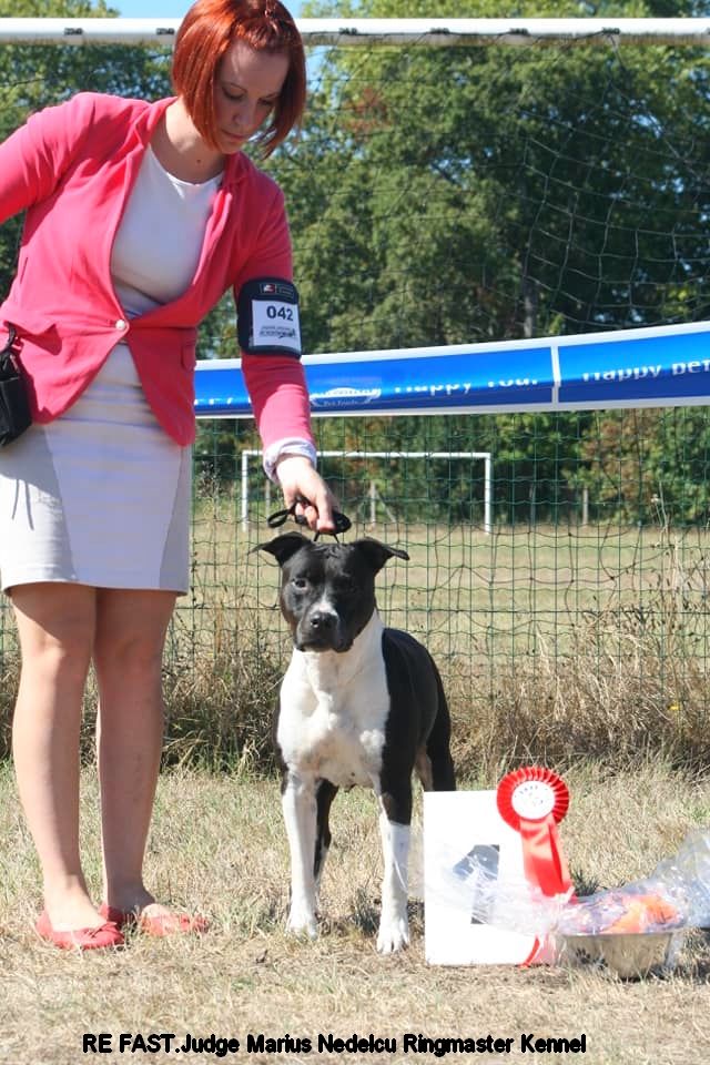 CH. Elektra von Den Taos Wächtern - 1ere Excellente