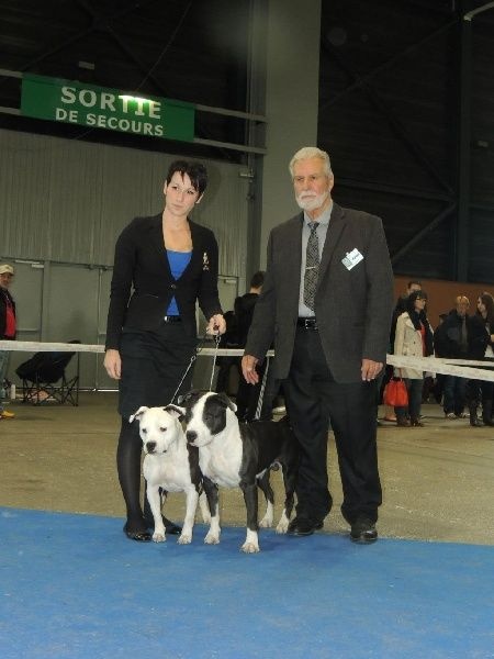 Damsteleasy Story G'zaya franstal's de zeus - 4eme Excellente