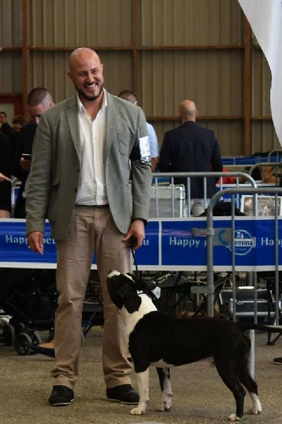 Thoresteel Lennox lewis - Très bon NC