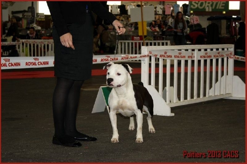 Damsteleasy Story G'zaya franstal's de zeus - 1ere Très bon