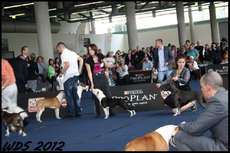 Damsteleasy Story G'zaya franstal's de zeus - Très Prometteuse