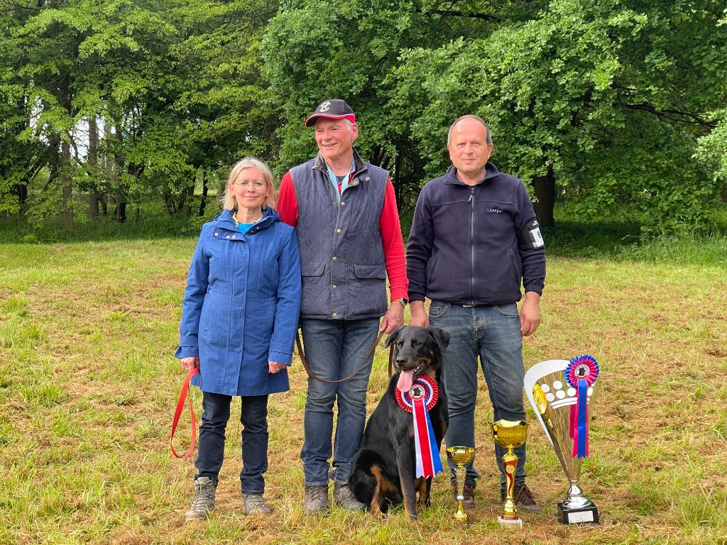 CH. Sisko Des Feux De Beltaine - CACS Classe Ouverte Mâle