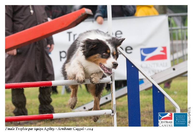 Publication : Altjira's Auteur : Altjira's