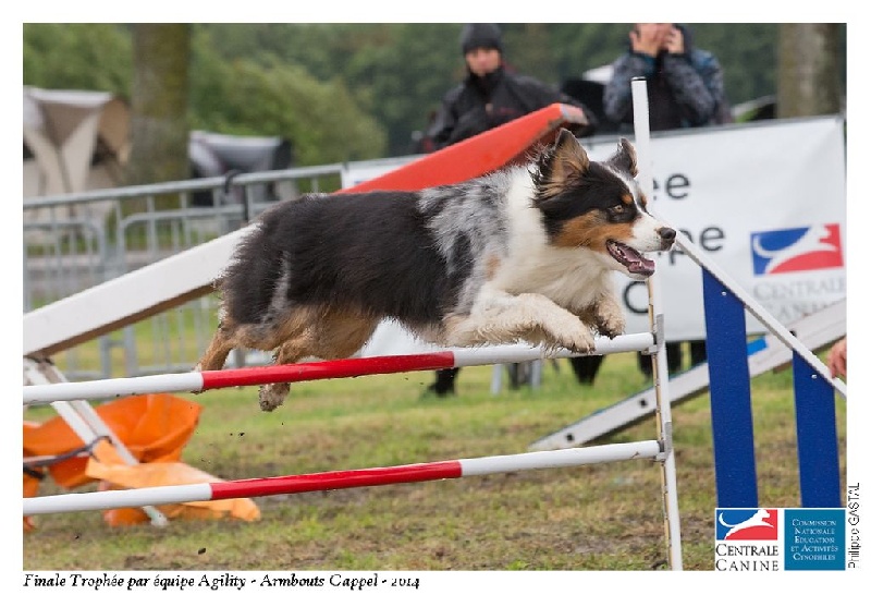 Publication : Altjira's Auteur : Altjira's