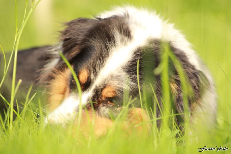 Publication : Altjira's Auteur : Altjira's