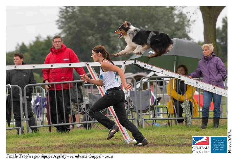 Publication : Altjira's Auteur : Altjira's