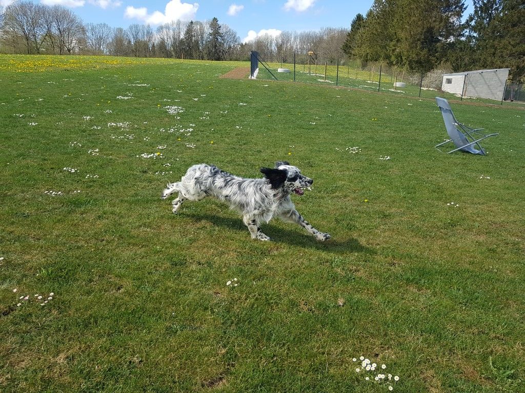 Publication : du Parc des Chaumes Auteur : PACO Ã 10 mois