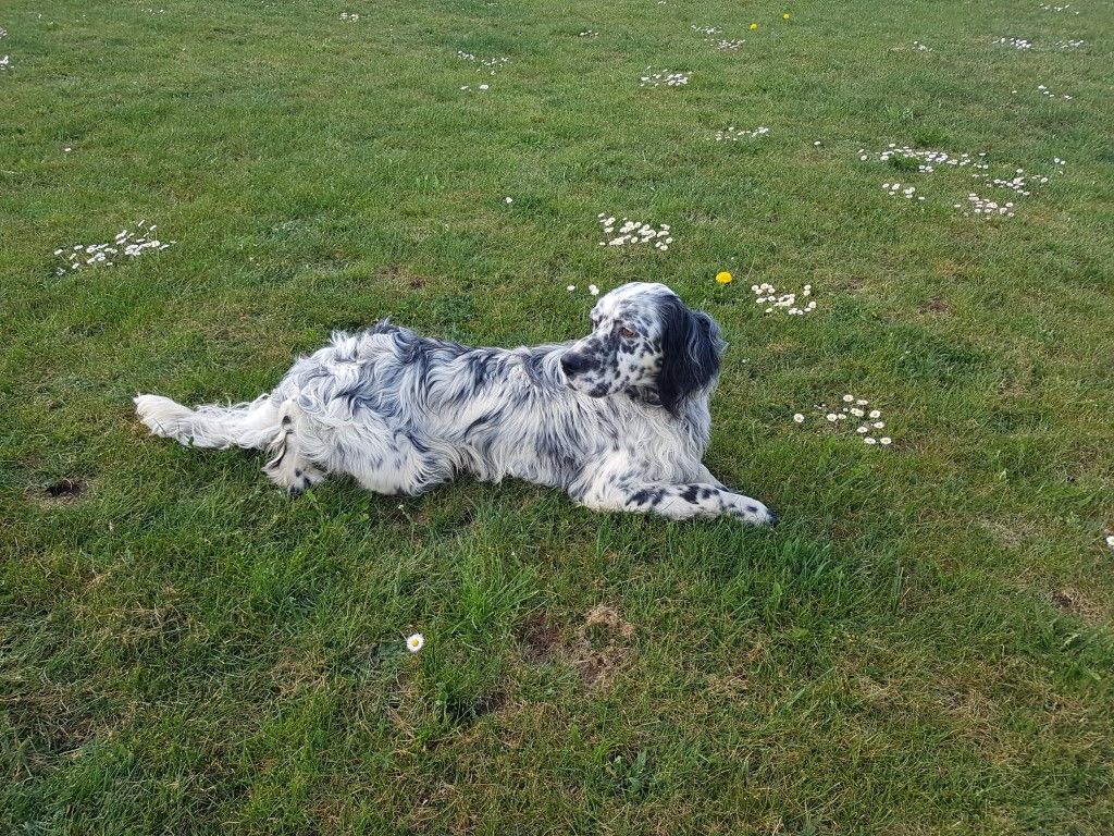 Publication : du Parc des Chaumes Auteur : PACO Ã 10 mois