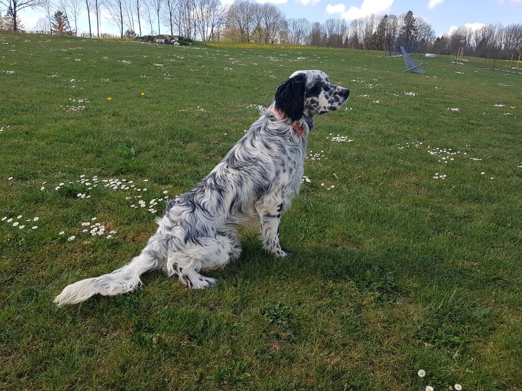 Publication : du Parc des Chaumes Auteur : PACO Ã 10 mois