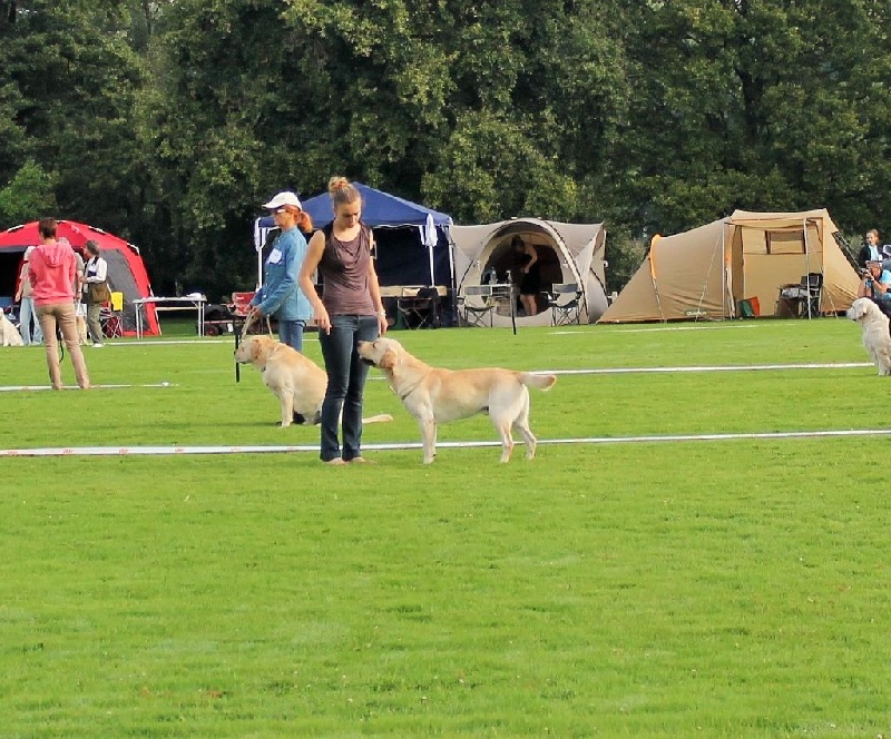 Othamcourt Hey jude - Très Bon