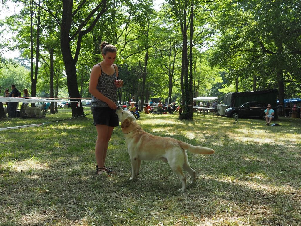 Othamcourt Hey jude - 2éme Excellent