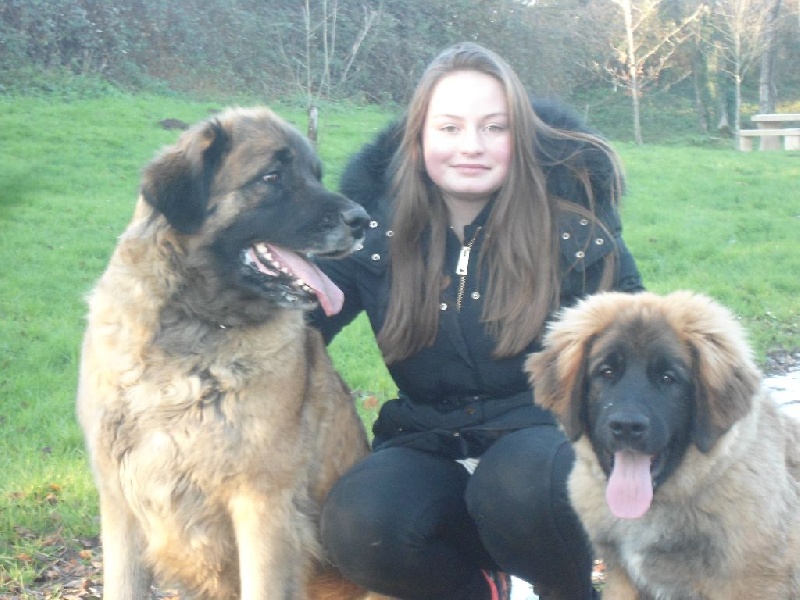 Publication : Du lac aux buses