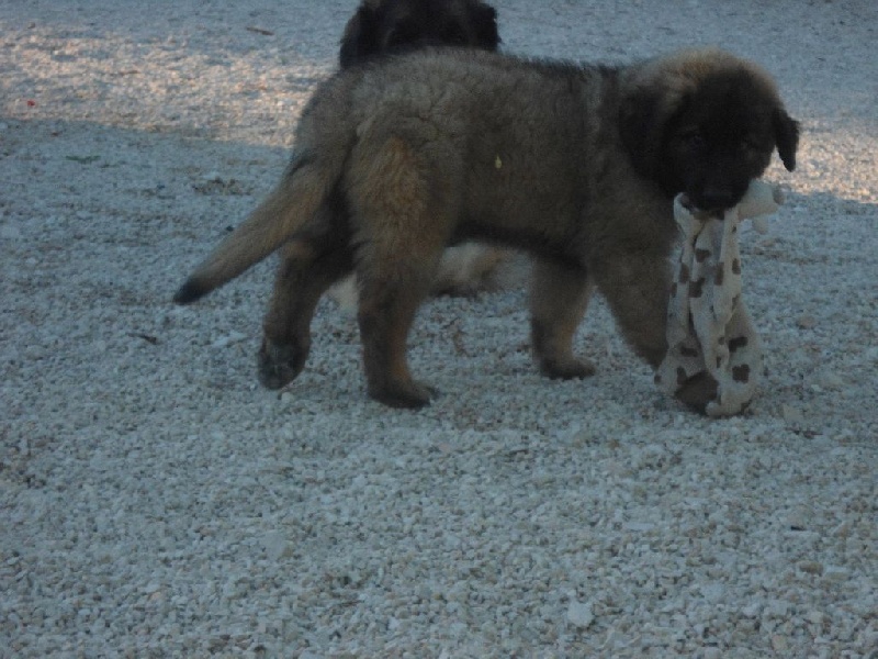 Publication : Du lac aux buses