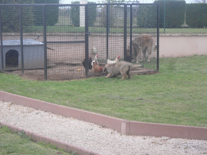 Publication : Du lac aux buses