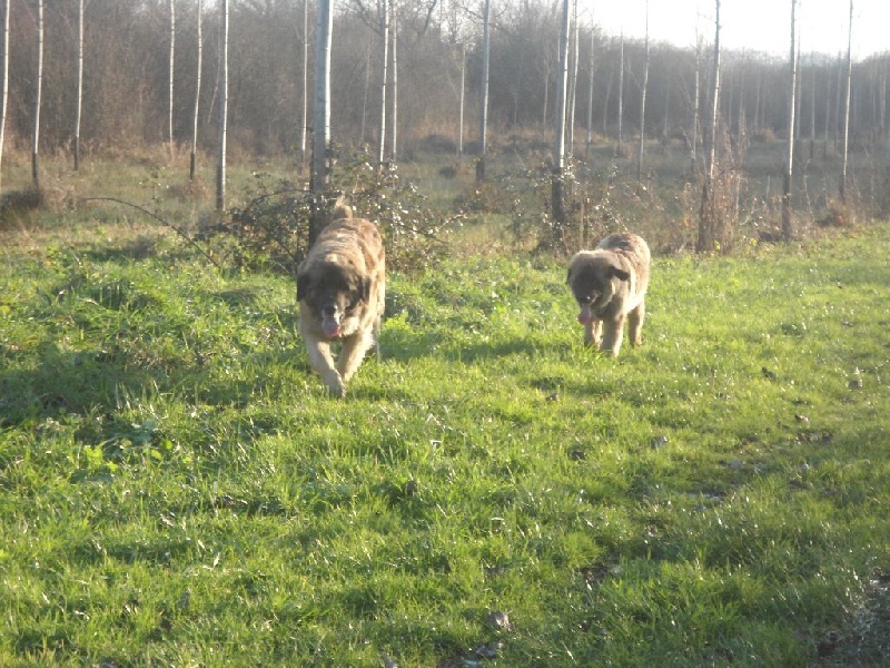 Publication : Du lac aux buses