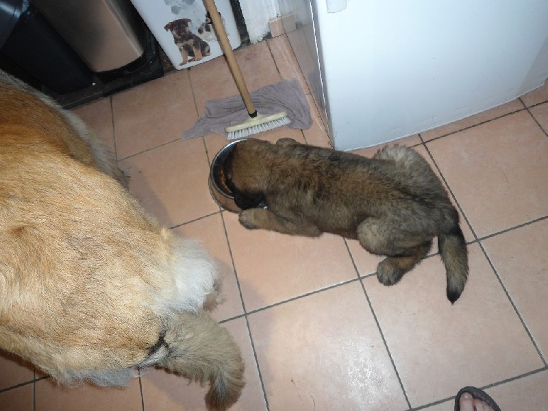 Publication : Du lac aux buses