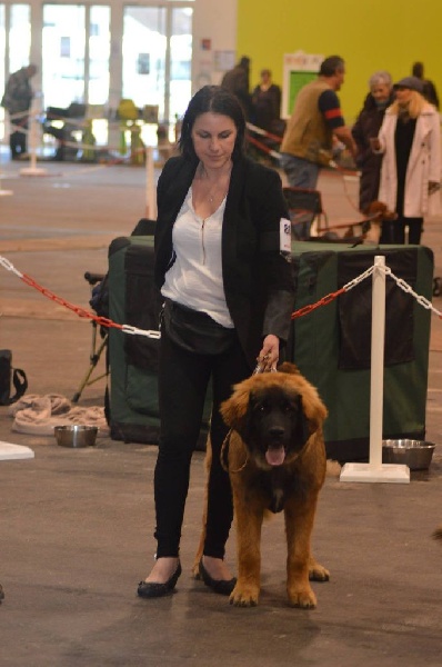 Jazzy Du lac aux buses - tres prometteur