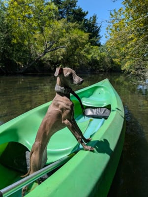 De L'Oustau De La Clapiere