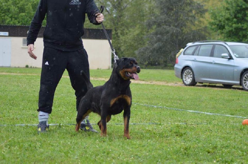 Publication : Of Legend Mysteria