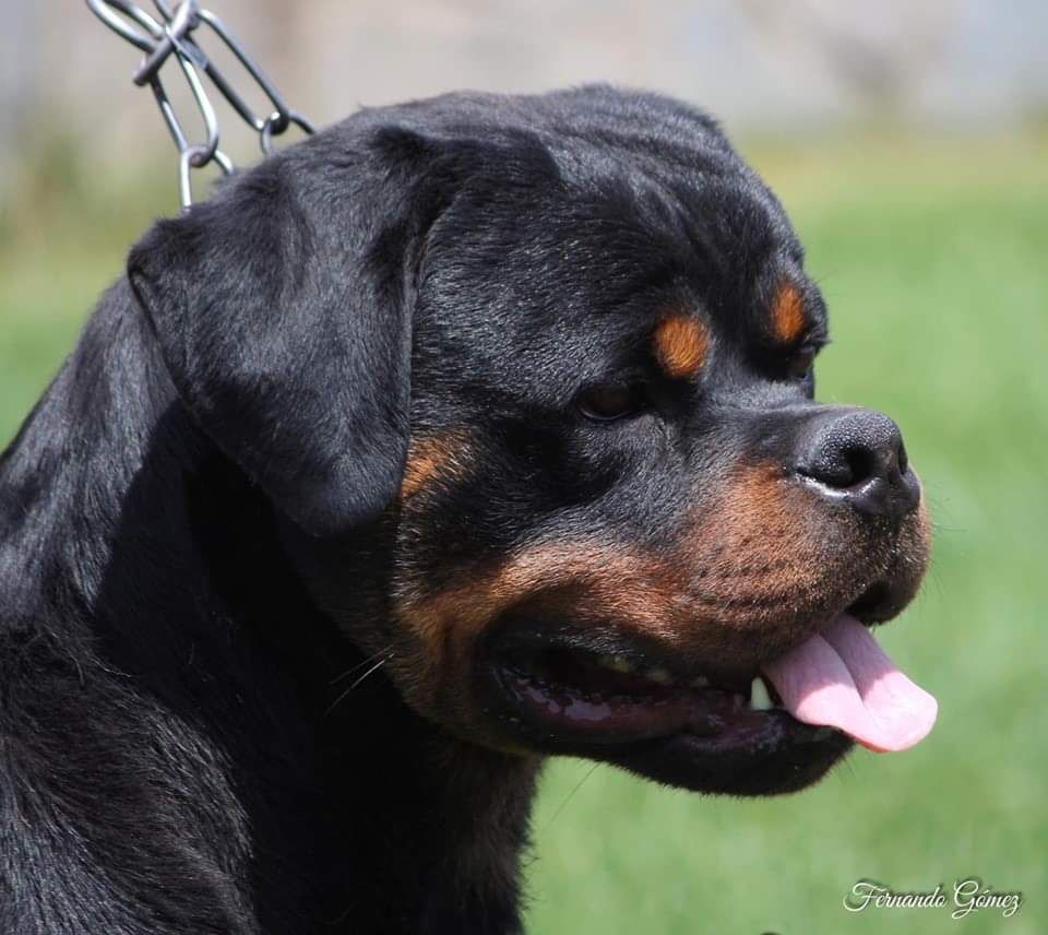 Publication : Of Legend Mysteria