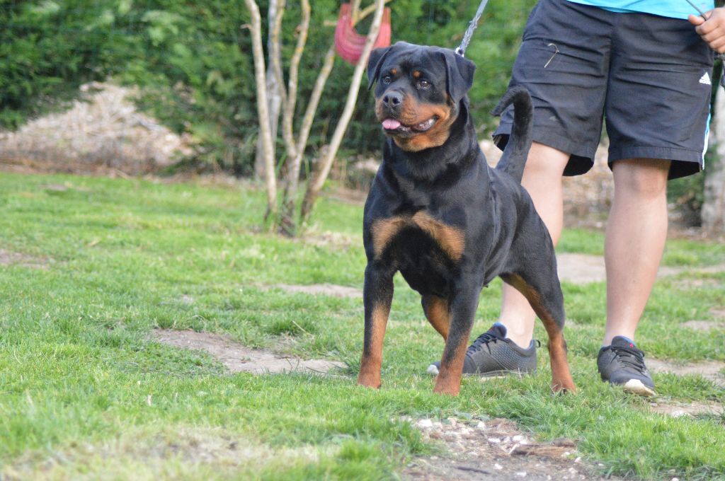 Publication : Of Legend Mysteria