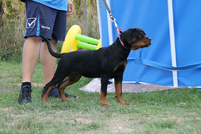 Publication : Of Legend Mysteria