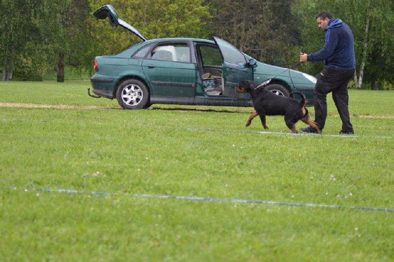 Publication : Of Legend Mysteria